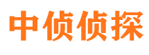 天河侦探公司